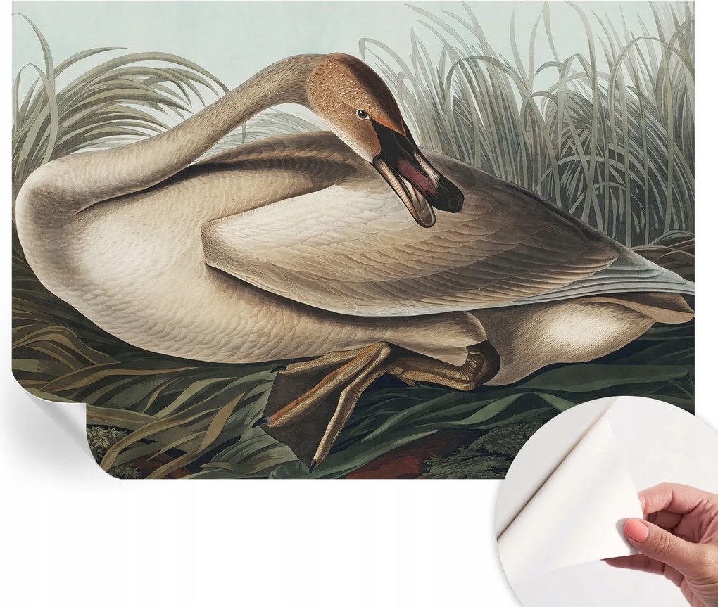 Modern Öntapadós Fotótapéta Mosható Természetes madár 208x146 cm