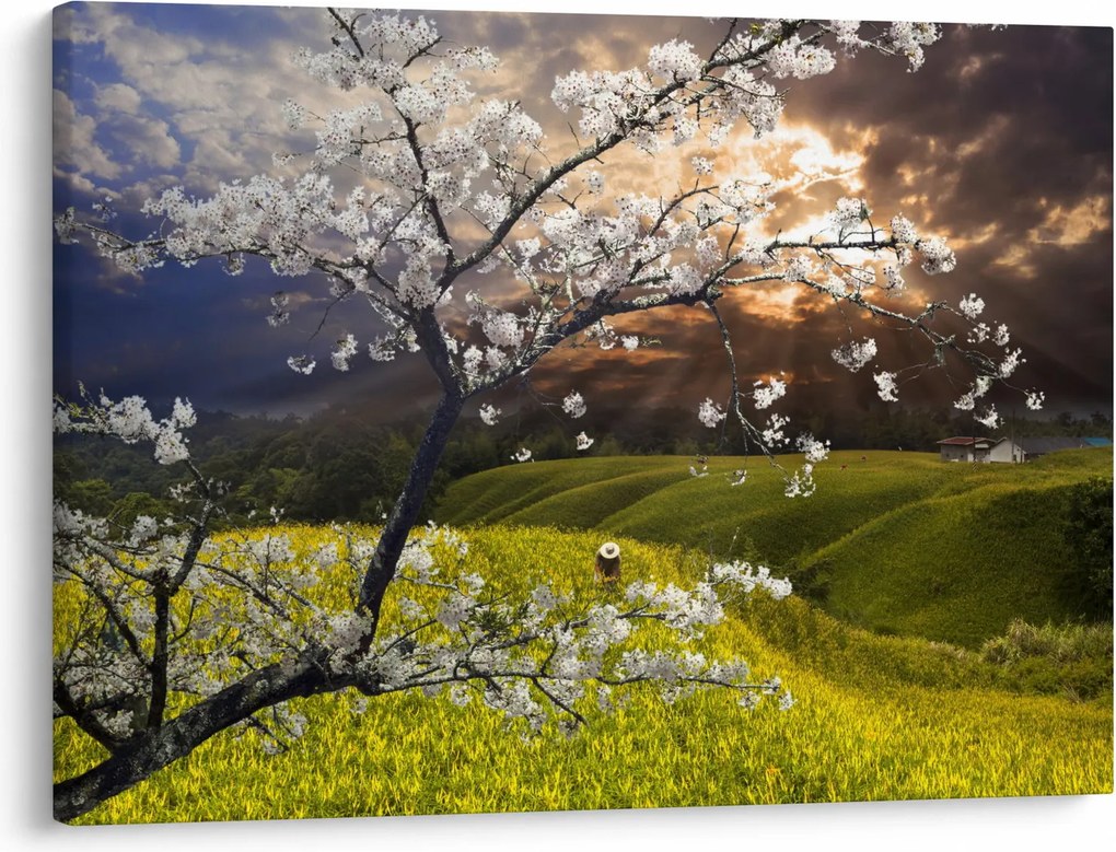 Kép - Virágzó fa az országban (70x50 cm)