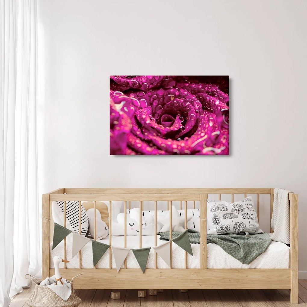 Rózsaszín rózsa virágzata képe (90x60 cm)
