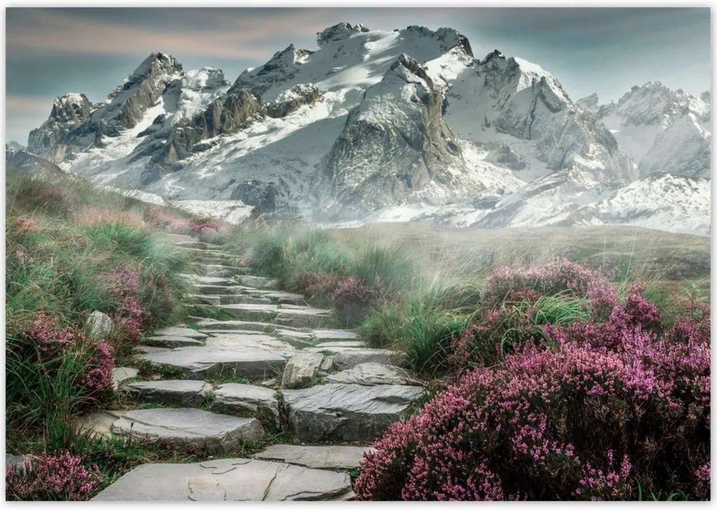 Poszterek 100x70 Hegyi kilátás Tájkép Köd