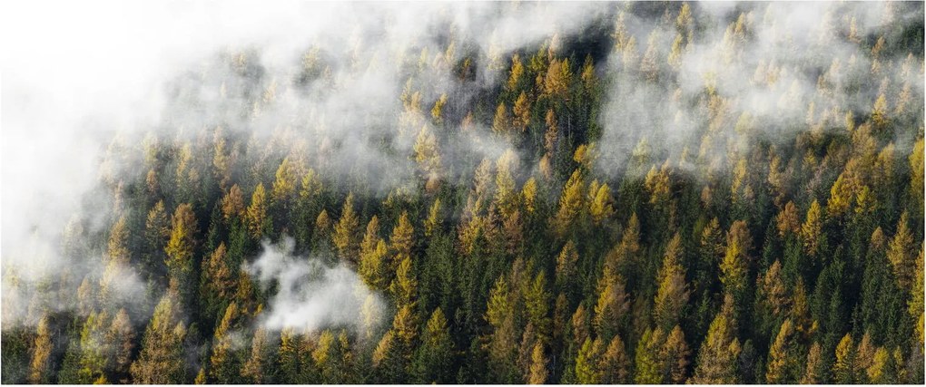 Egy erdő képe a felhők között (120x50 cm)