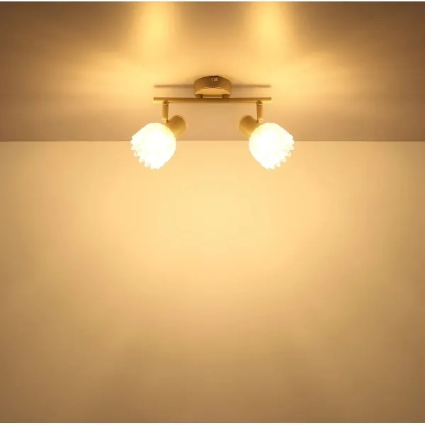 Globo 54317-2 - PLANTA spotlámpa 2xE14/40W/230V