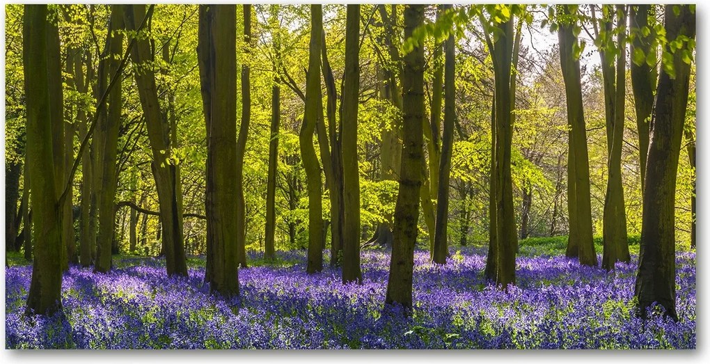 Fotó vászonkép edzett üveg Erdő tavasz 140x70