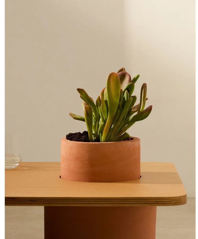 Natúr színű kerek dohányzóasztal kőrisfa dekorral 60x110 cm Olaria – Kave Home