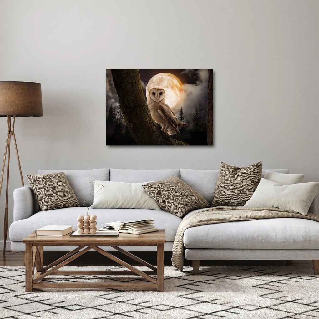 Egy gyöngybagoly képe (70x50 cm)