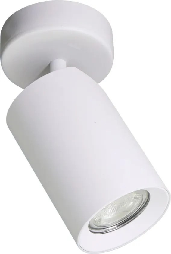 Zuma Line TORE TLS006-WH mennyezeti lámpa 1x35W/GU10 IP20