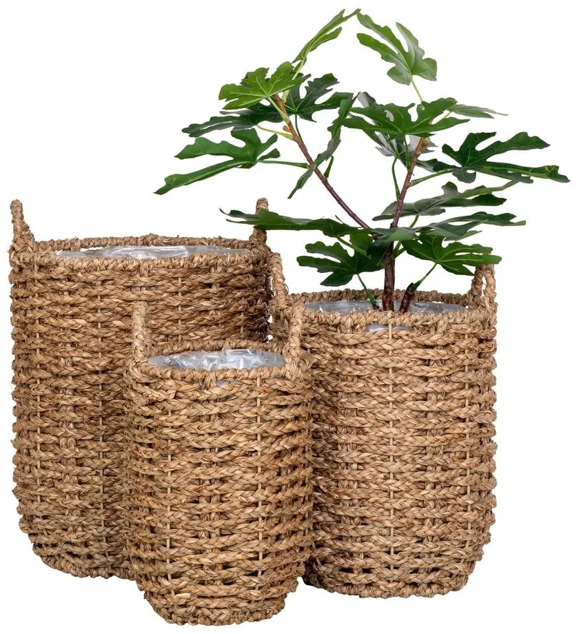 Tengerifű kaspó szett 3 db-os ø 31 cm Hue – House Nordic