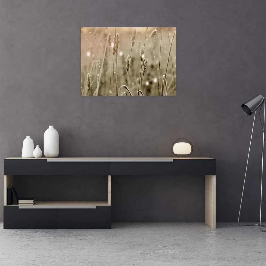 Üveg kép - Harmonikus rét (70x50 cm)