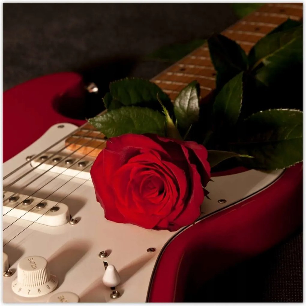 Poszterek 100x100 Piros evező Gitár