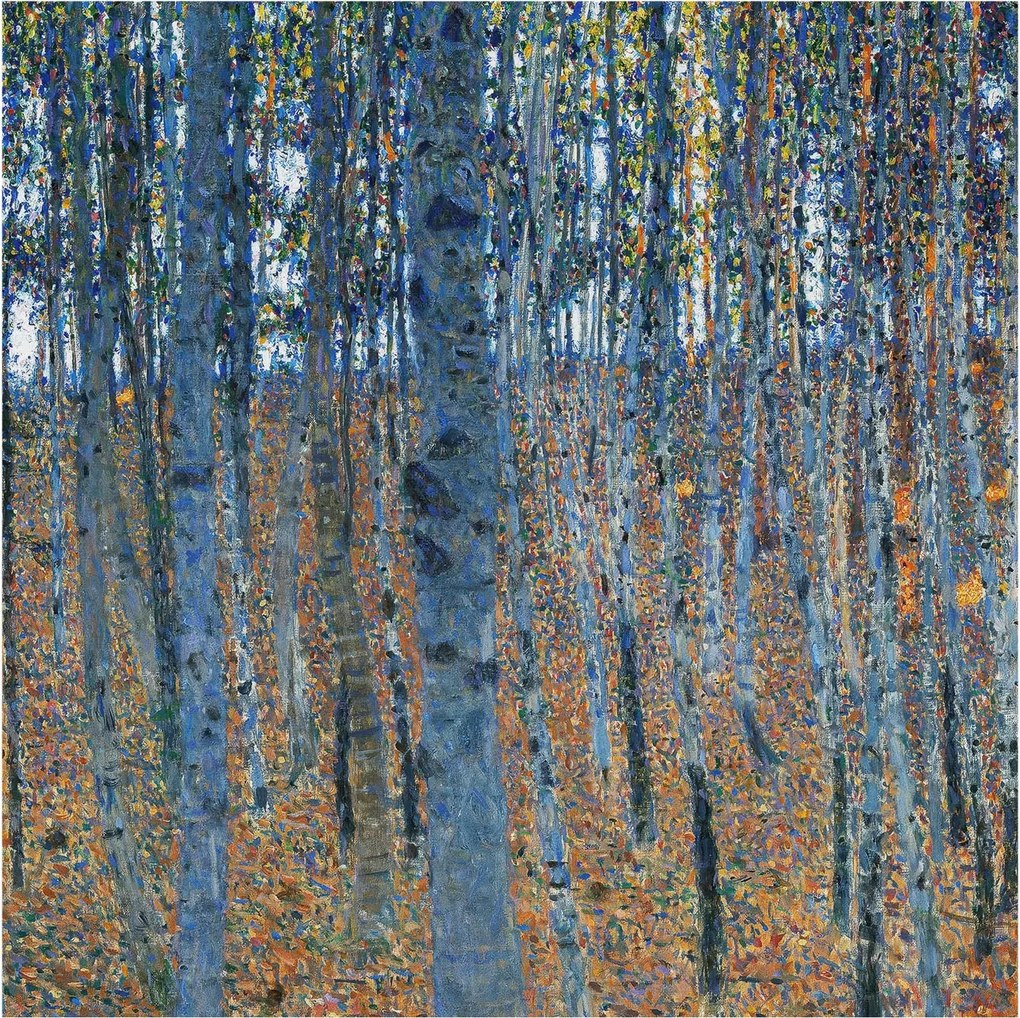 Dekoratív Fotótapéta Hálószobába Nyírerdő 250x250 Ragasztó