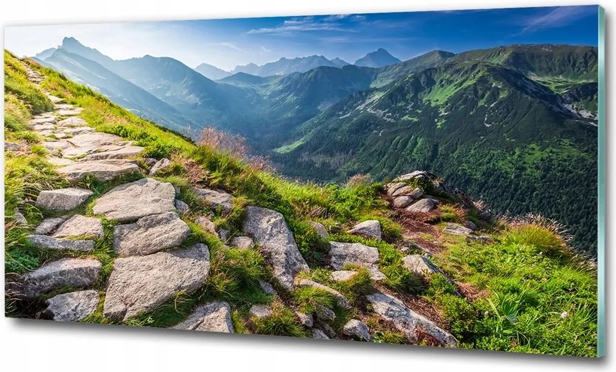 Fotó üvegkép Napsugarak erdő 125x50