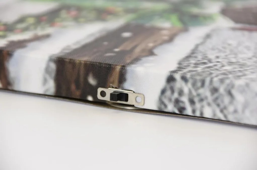 Falfestmény Ló és veréb LED 30 x 40 cm