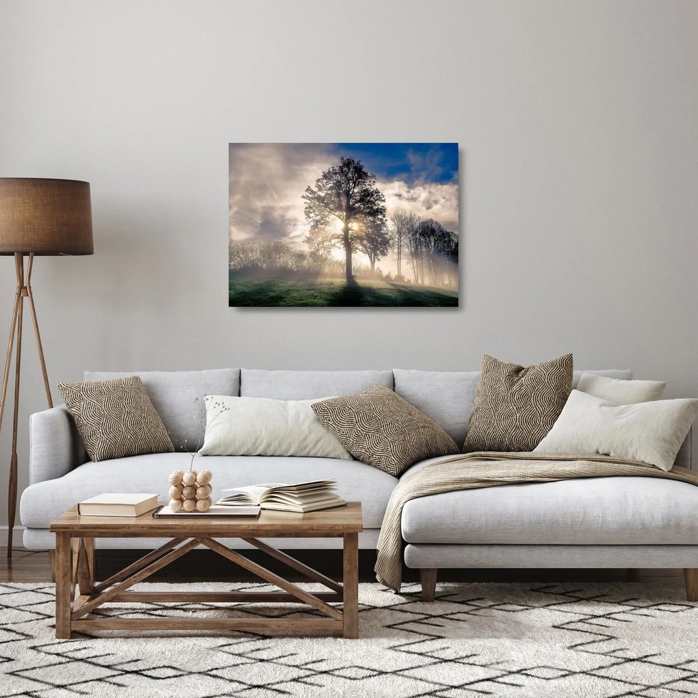 Fa a ködben képe (üvegen) (70x50 cm)