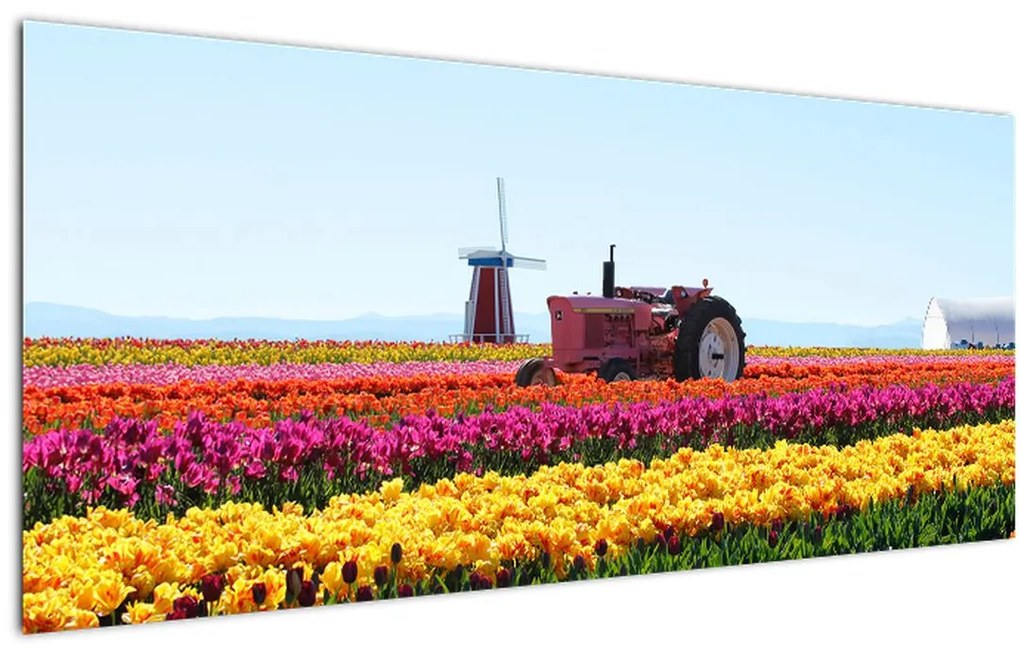 Tulipánfarm képe (120x50 cm)