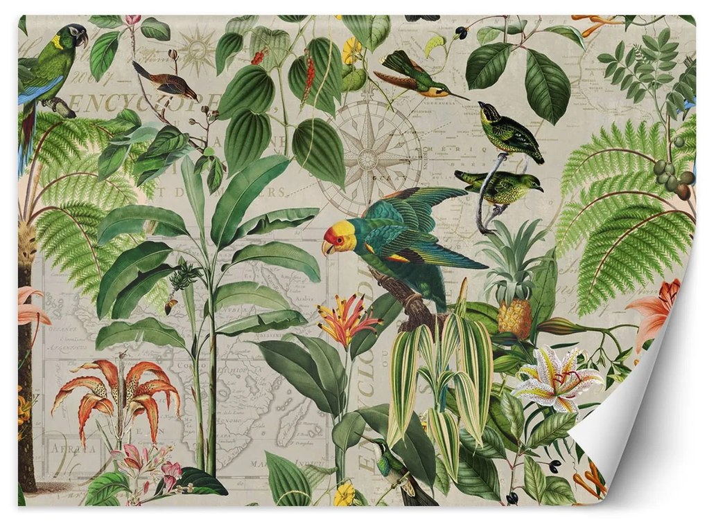 Gario Fotótapéta Zöld madarak a trópusokon - Andrea Haase Anyag: Vlies, Méret: 450 x 315 cm