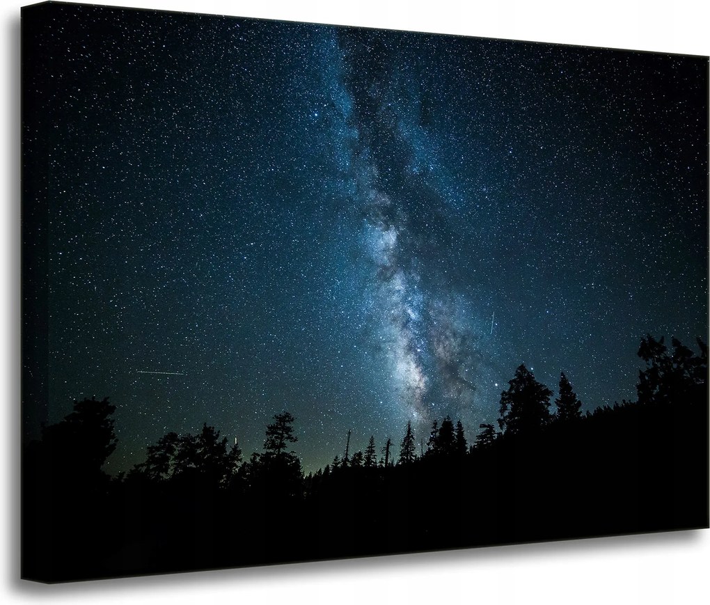 Vászonkép Kozmosz Éjszaka Erdő Köd Természet Csillagászat 70x50