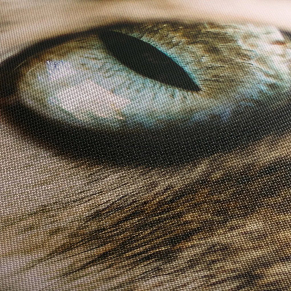 Kép - Macskaszem (órával) (90x30 cm)