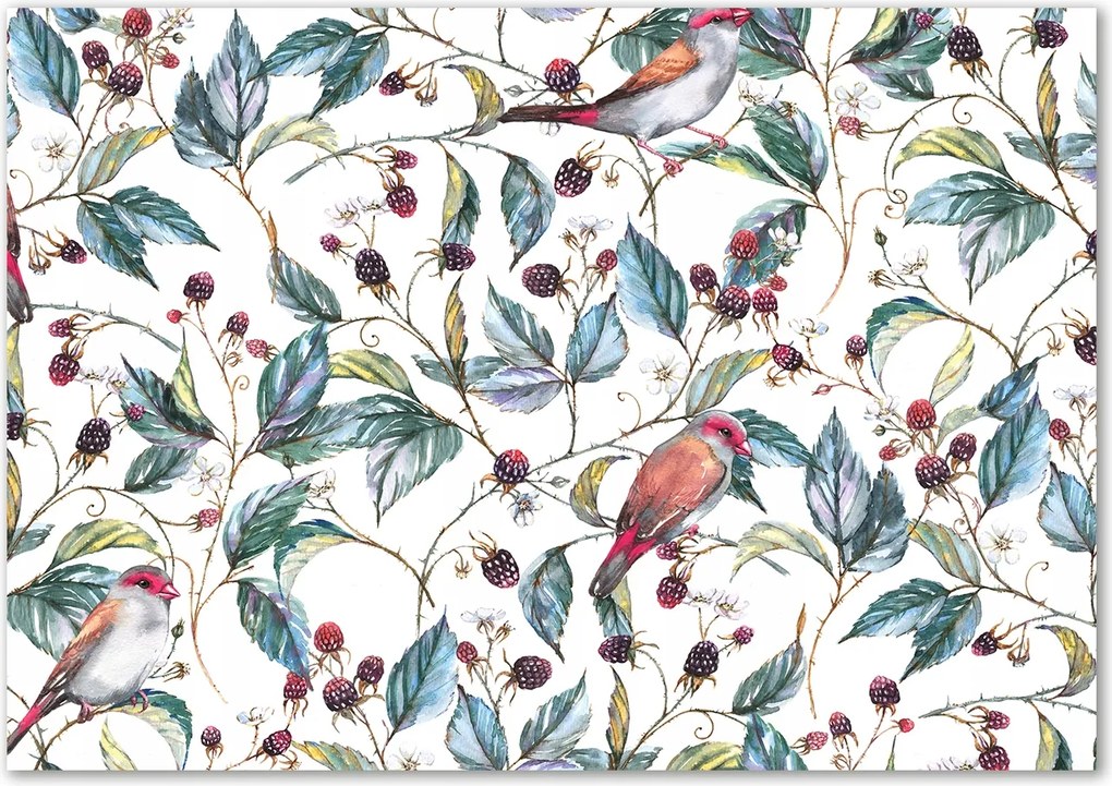 Lacobel panel szeder és madarak grafikával Ragasztó Ingyenes