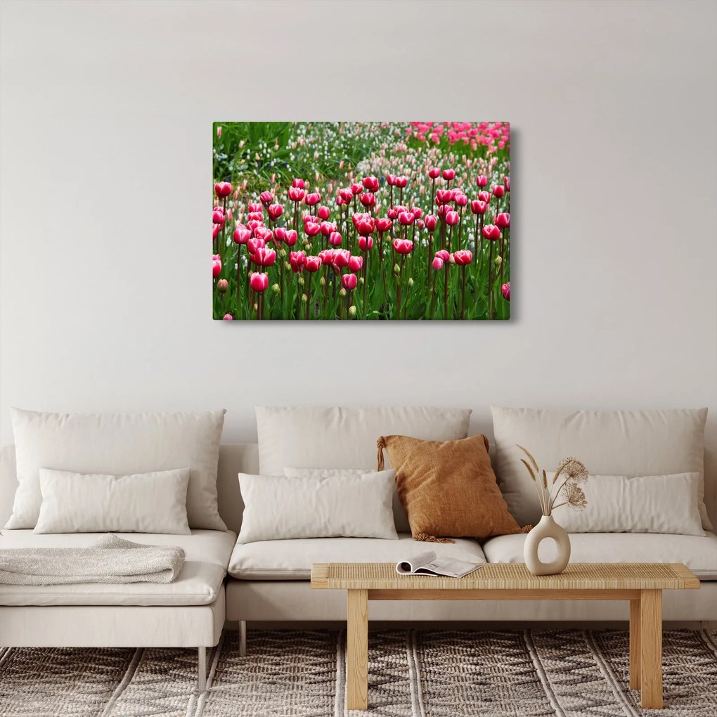 Tulipán képe (90x60 cm)