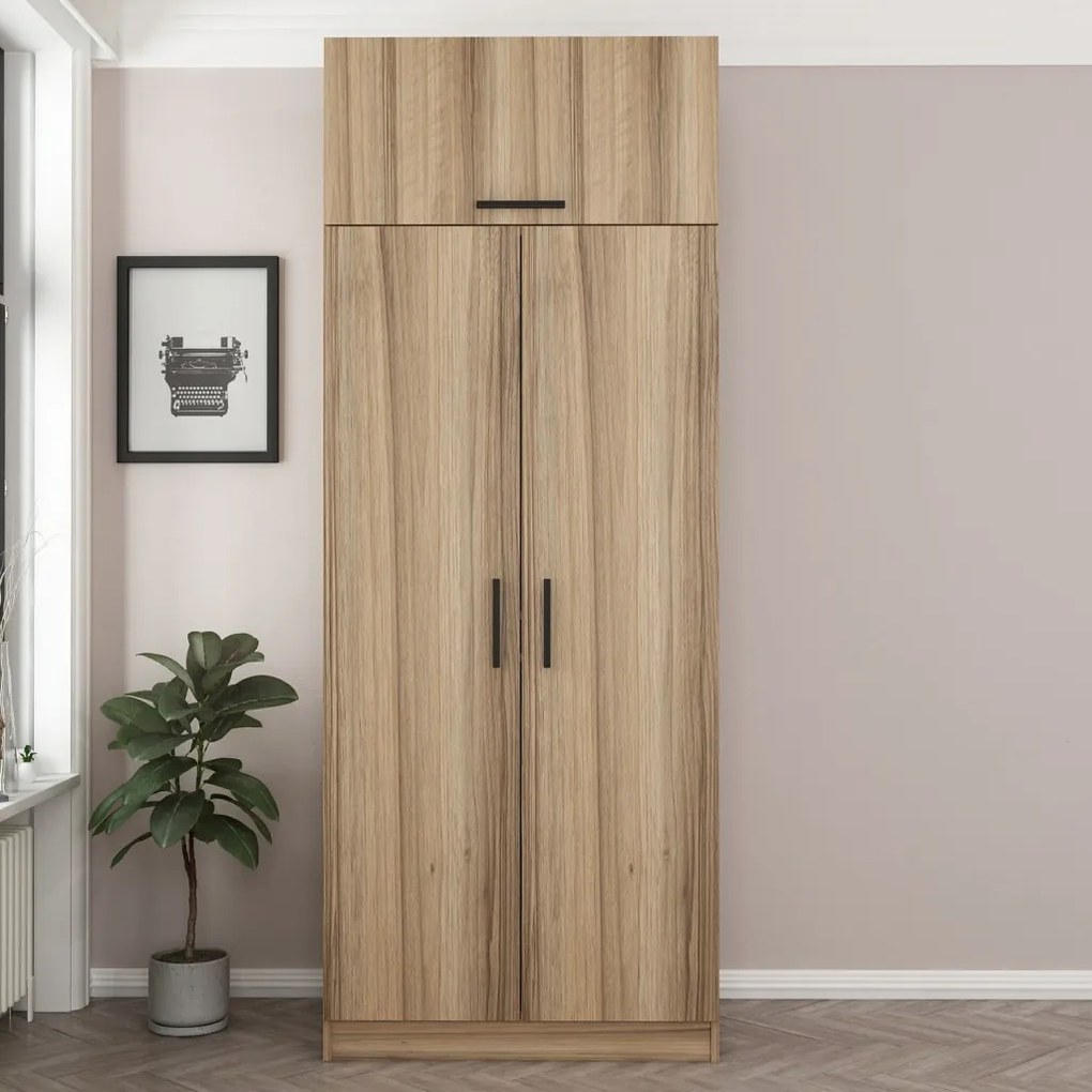 Kale Oak - 2238