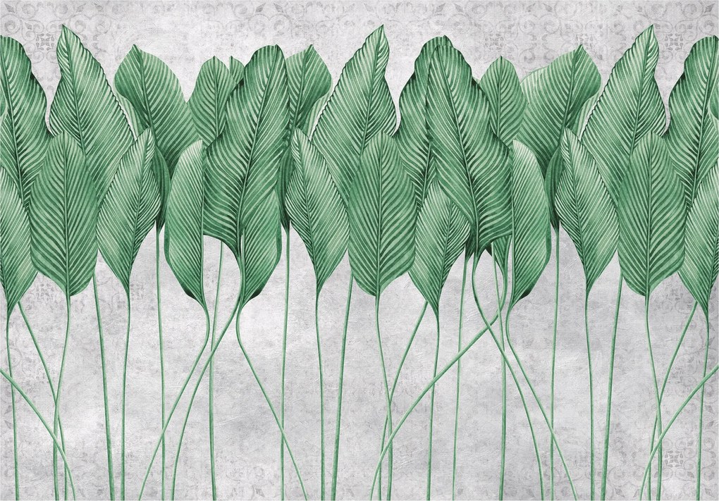 Fotótapéta Tollak Levelek 3D Beton Hálószoba 254x184