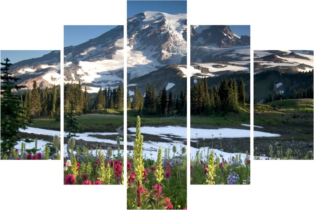 Kép - Mount Rainier (150x105 cm)