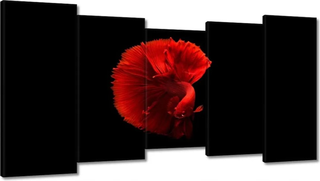 Vászonkép 150x80 Harcos hal piros