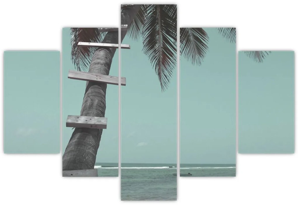 Kép - Palma a Karib-tengeren (150x105 cm)