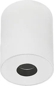 ZAMBELIS S113 Hengeres Mennyezeti Lámpa LED IP54