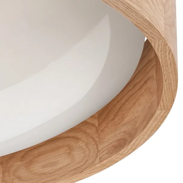 Brilagi - LED dimmelhető mennyezeti lámpa MANAROLA LED/24W/230V tölgy + távirányító