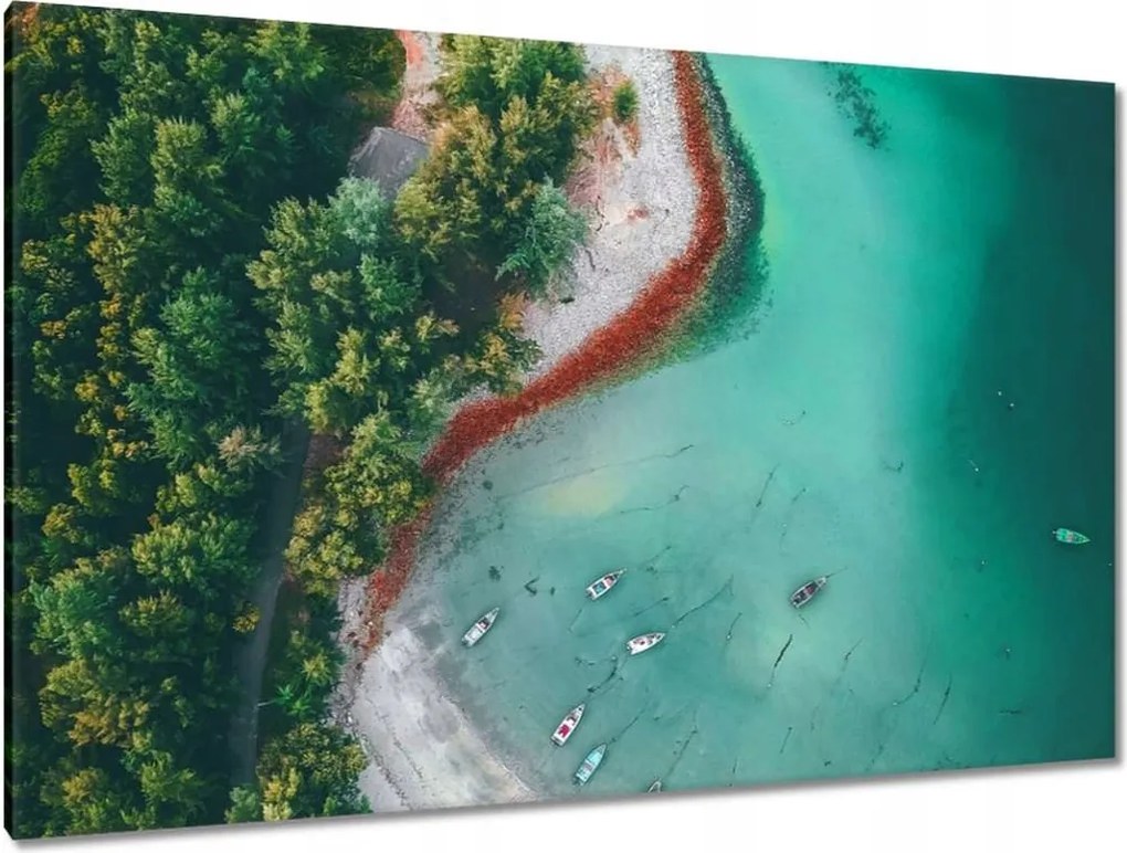 Vászonkép 120x80 Trópusi pálmafák szigete