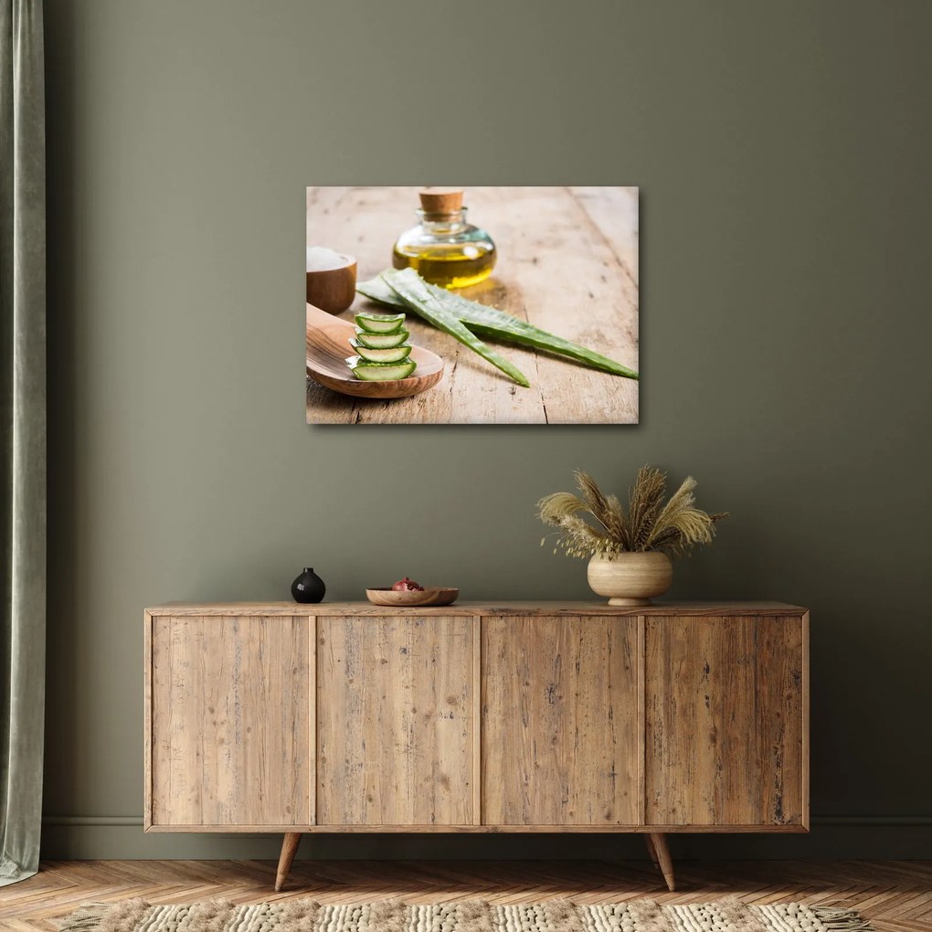 Kép - Aloe vera (70x50 cm)