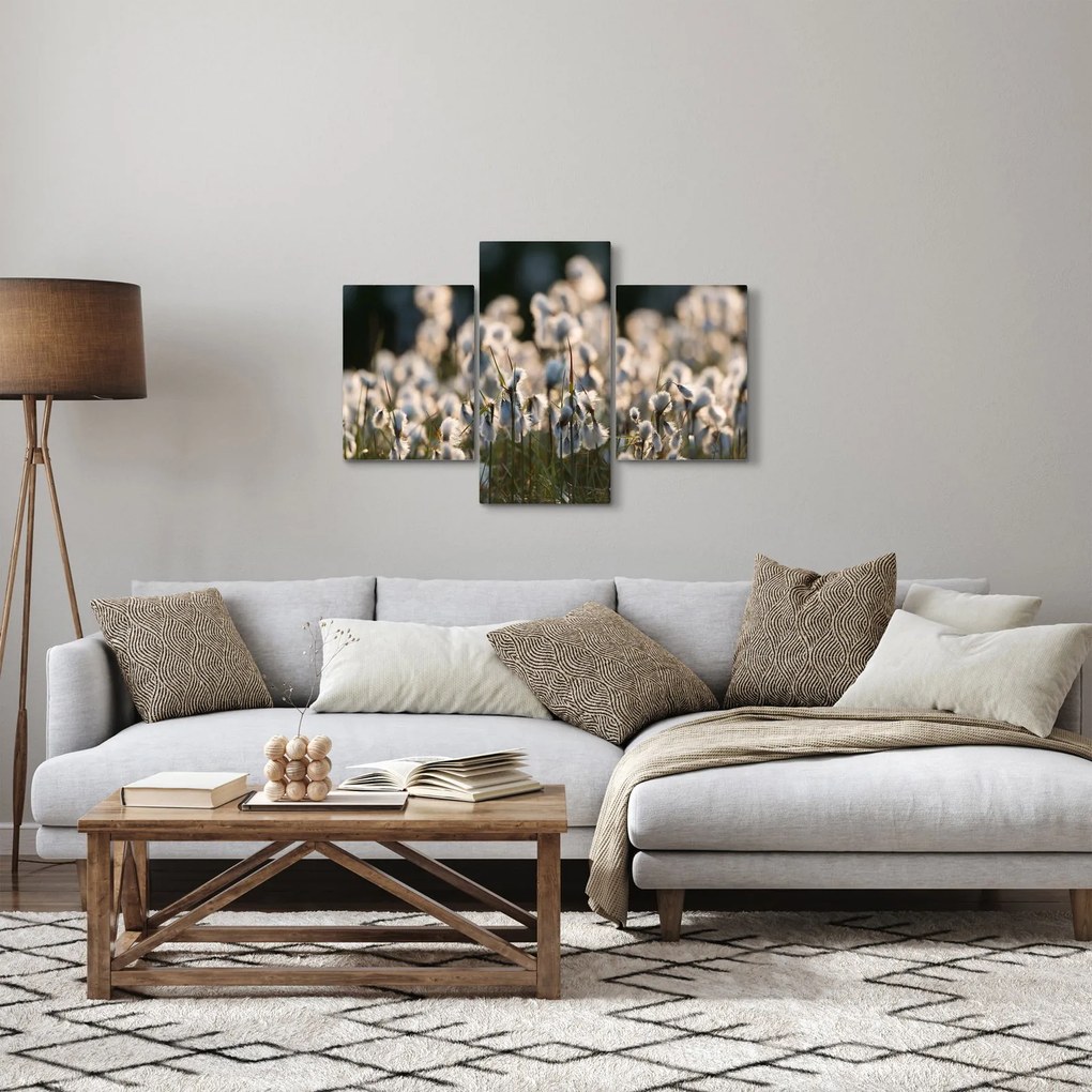 Kép - Keskenylevelű gyapjúsás (90x60 cm)