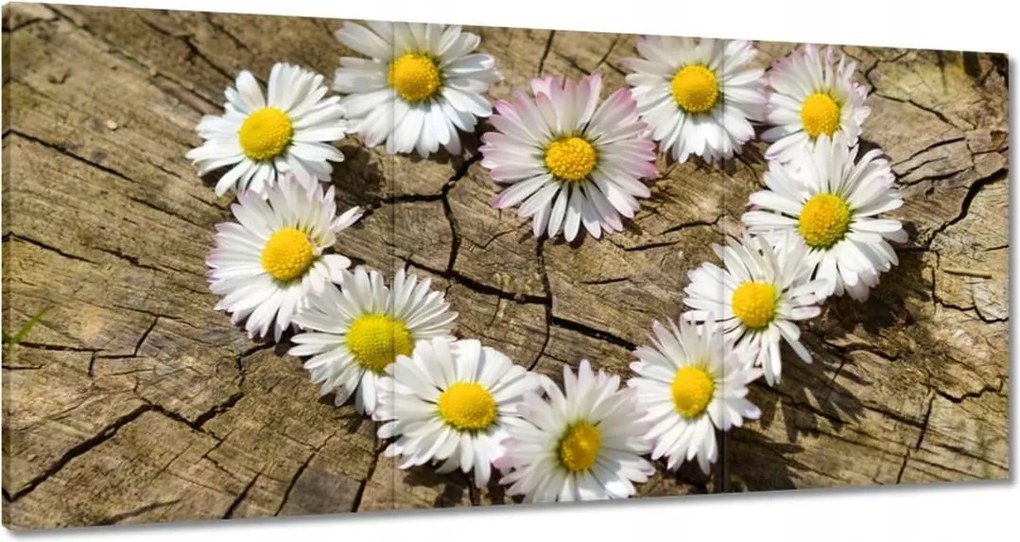 Vászonkép 180x90 Kamillaszív