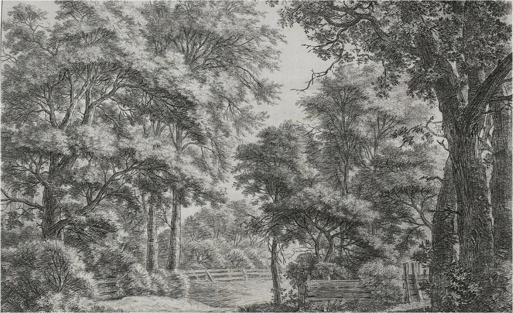 Stílusos Dekoratív Fotótapéta Flizelin Erdei táj 416x254 Ragasztó