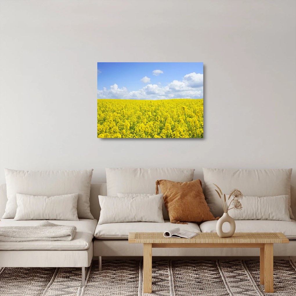 Egy sárga mező képe (üvegen) (70x50 cm)