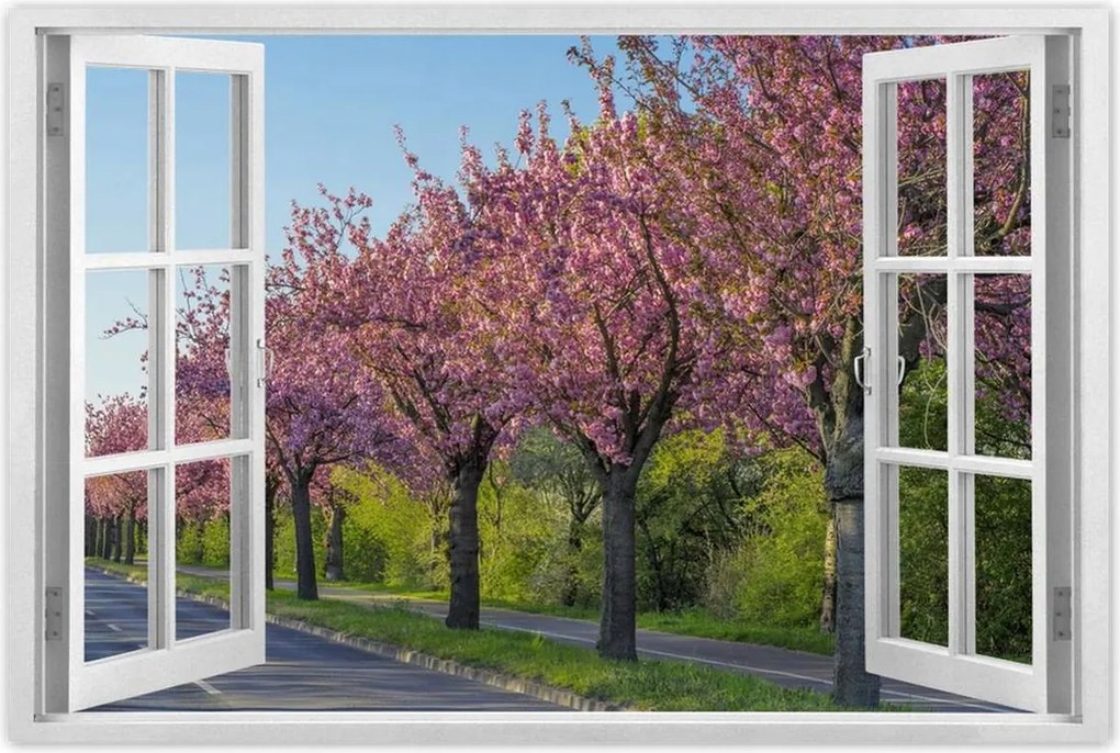 Poszterek 120x80 Fa Fák Kilátás