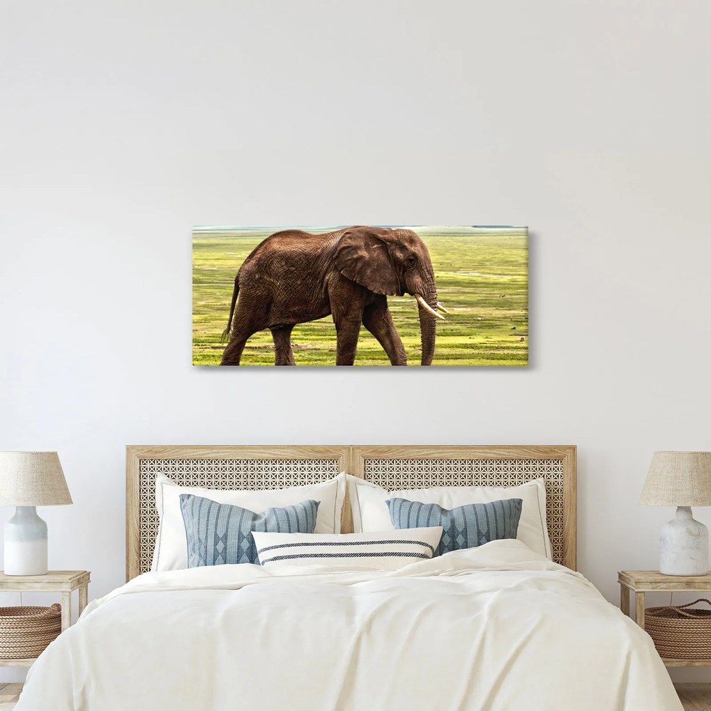 Egy elefánt képe (120x50 cm)