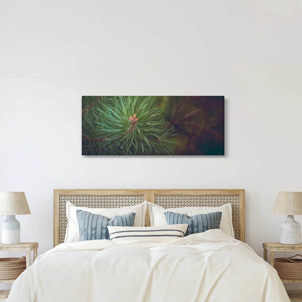 Kép - Fenyőfa részlete (120x50 cm)