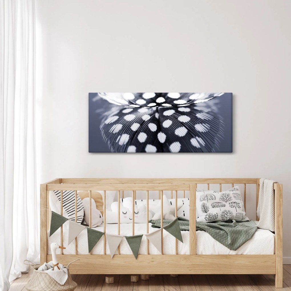Kép - Toll (120x50 cm)