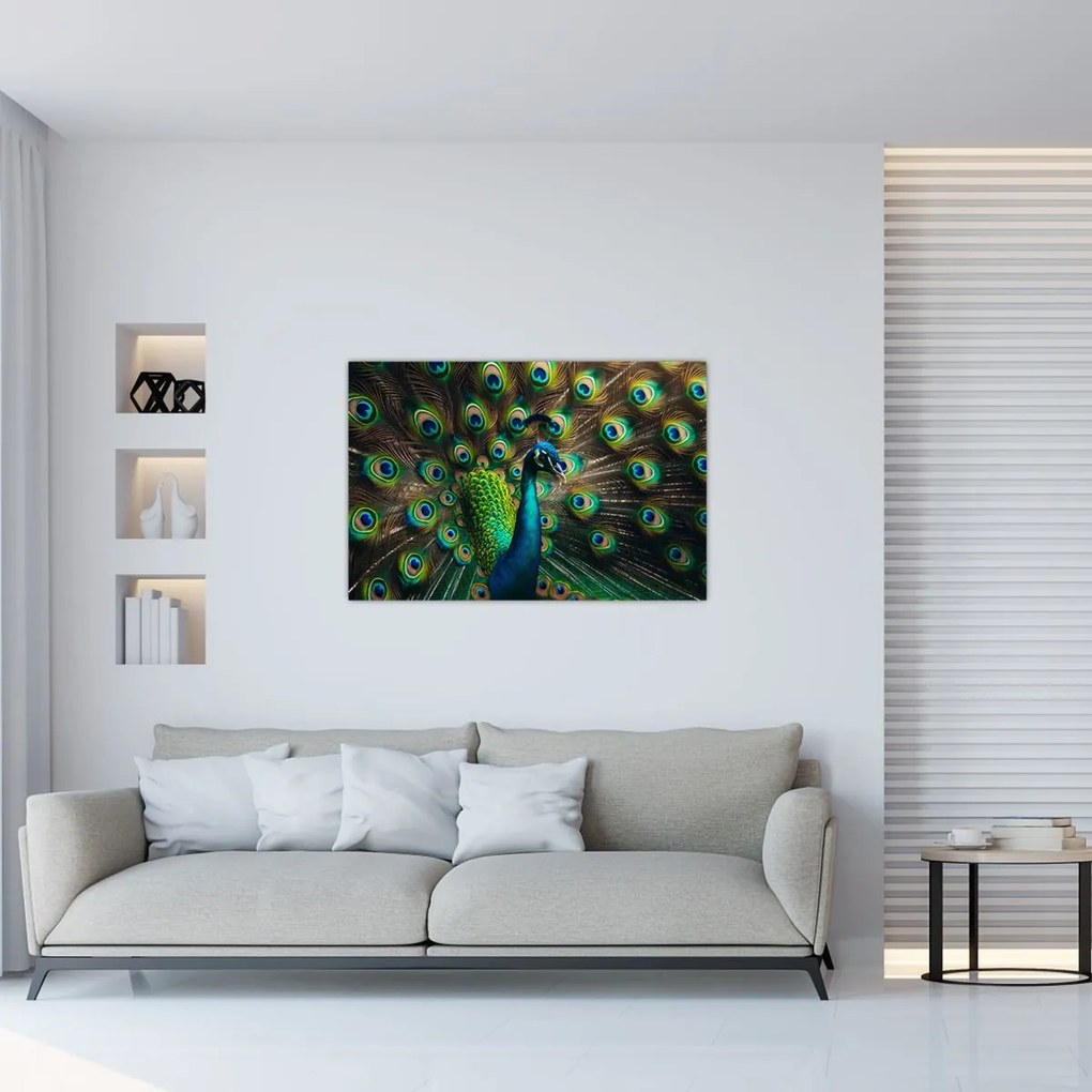 Kép – Pávatoll (90x60 cm)