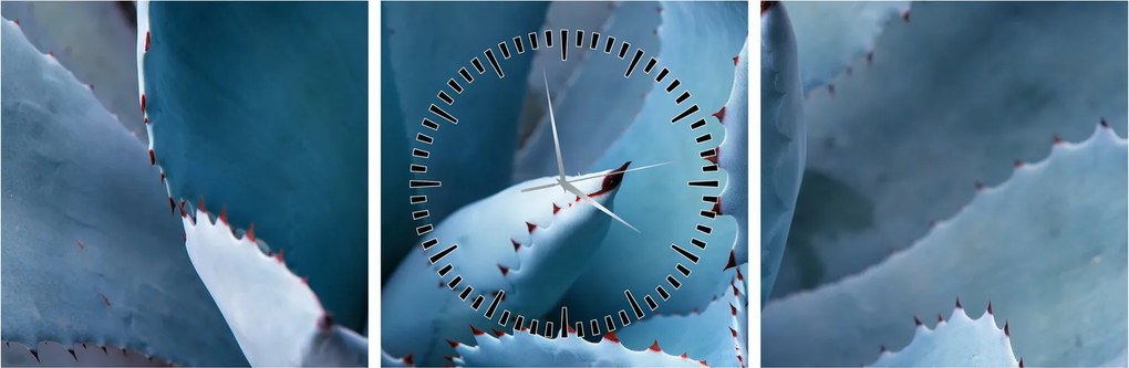 Kép - Agave (órával) (90x30 cm)