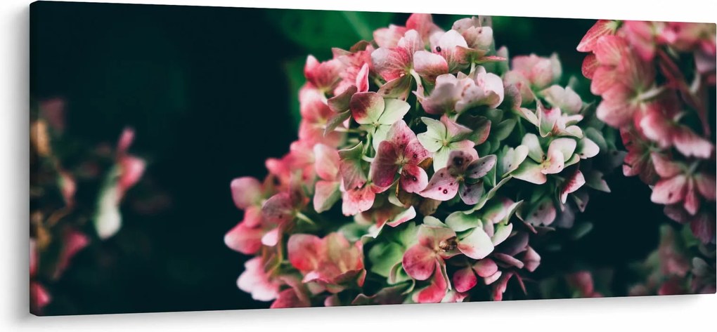 Kép - Hortenzia részlete (120x50 cm)