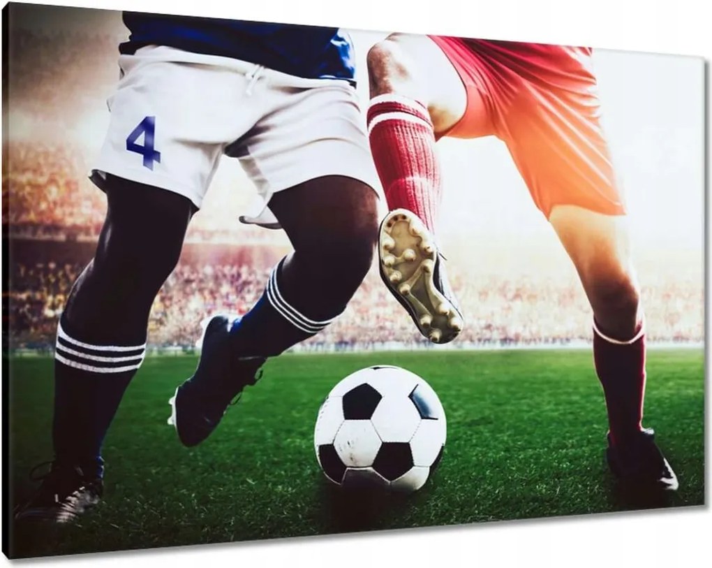 Képek 100x70 Labdarúgók Labdarúgás Ág Dugók