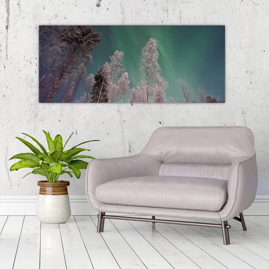 Az aurora borealis képe fagyos fák felett (120x50 cm)