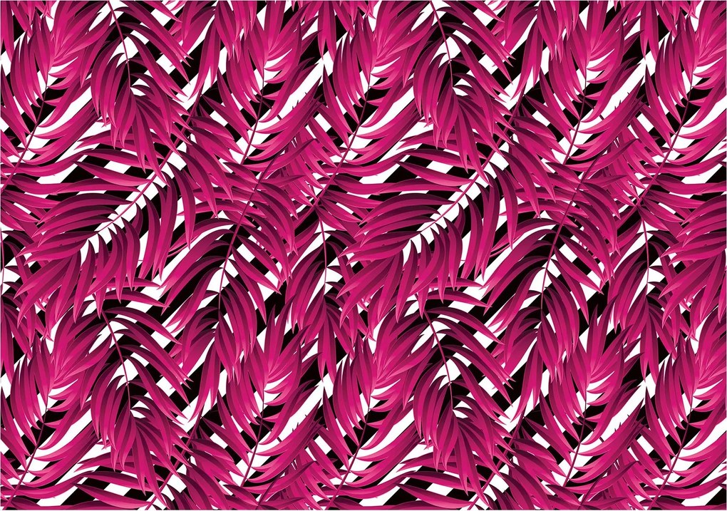 Fotótapéta Pálma Magenta csíkos minimalizmus loft modern 250x175 +ragasztó