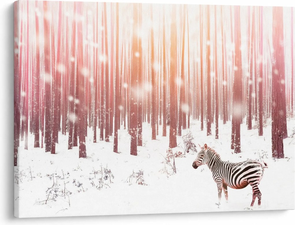 Kép - Zebra egy havas erdőben (70x50 cm)