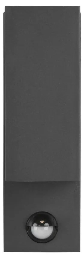 Fali kültéri lámpa (magasság 22 cm) Roya – Trio