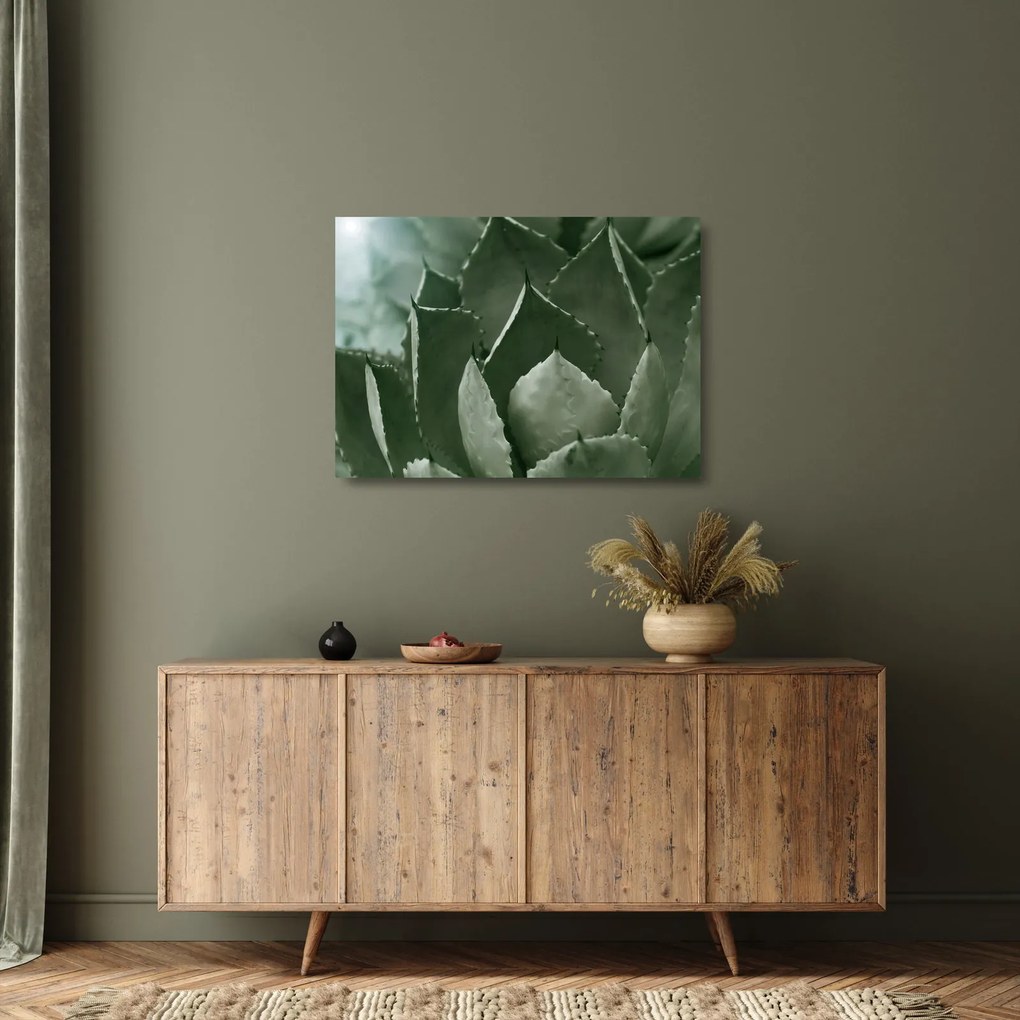 Üveg kép - Zöld agávé (70x50 cm)