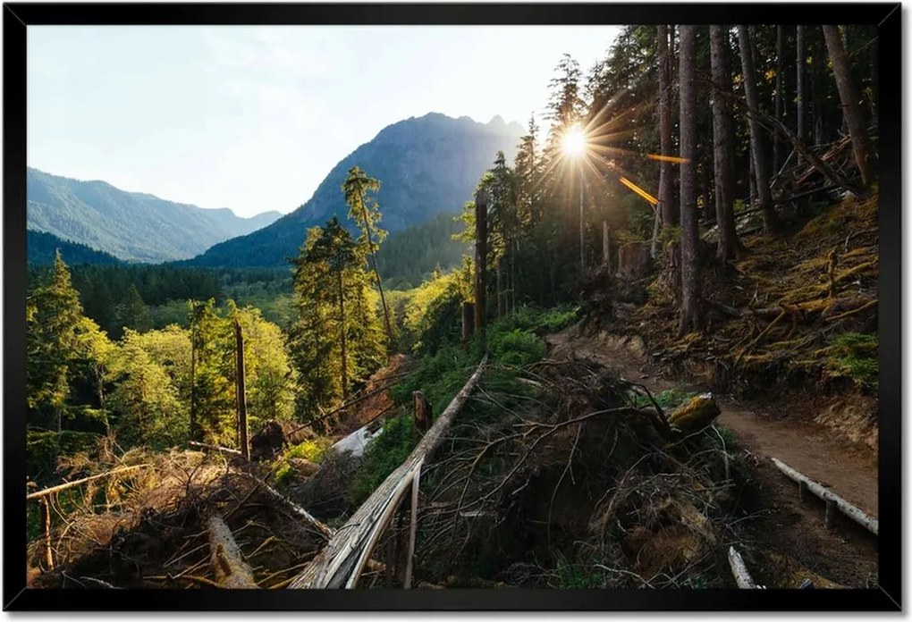 Poszterek keretben 60x40 Hegyek Napfény Erdő Ösvény